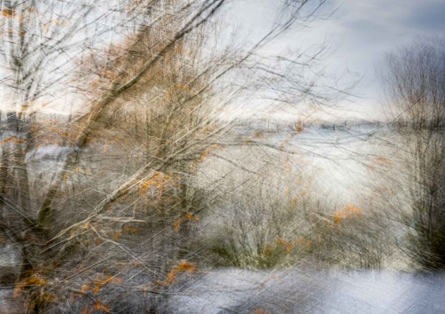 Abstraktes Bild eines Baumes im Spätherbst